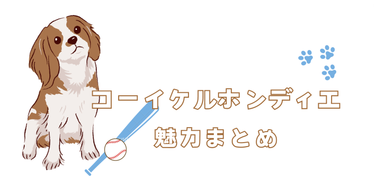 コーイケルホンディエ魅力まとめ